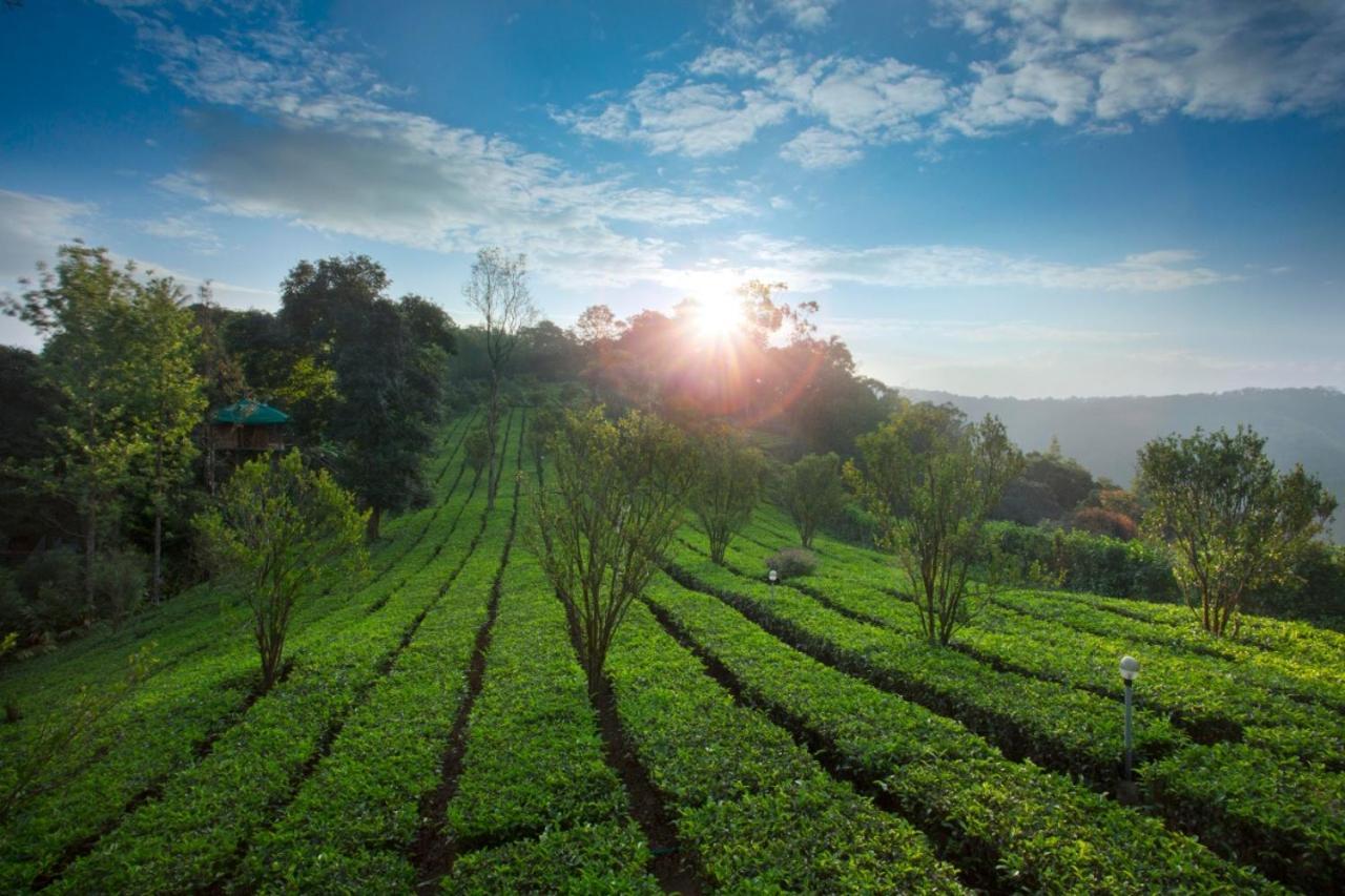 Sisiram River Side Munnar Eksteriør bilde