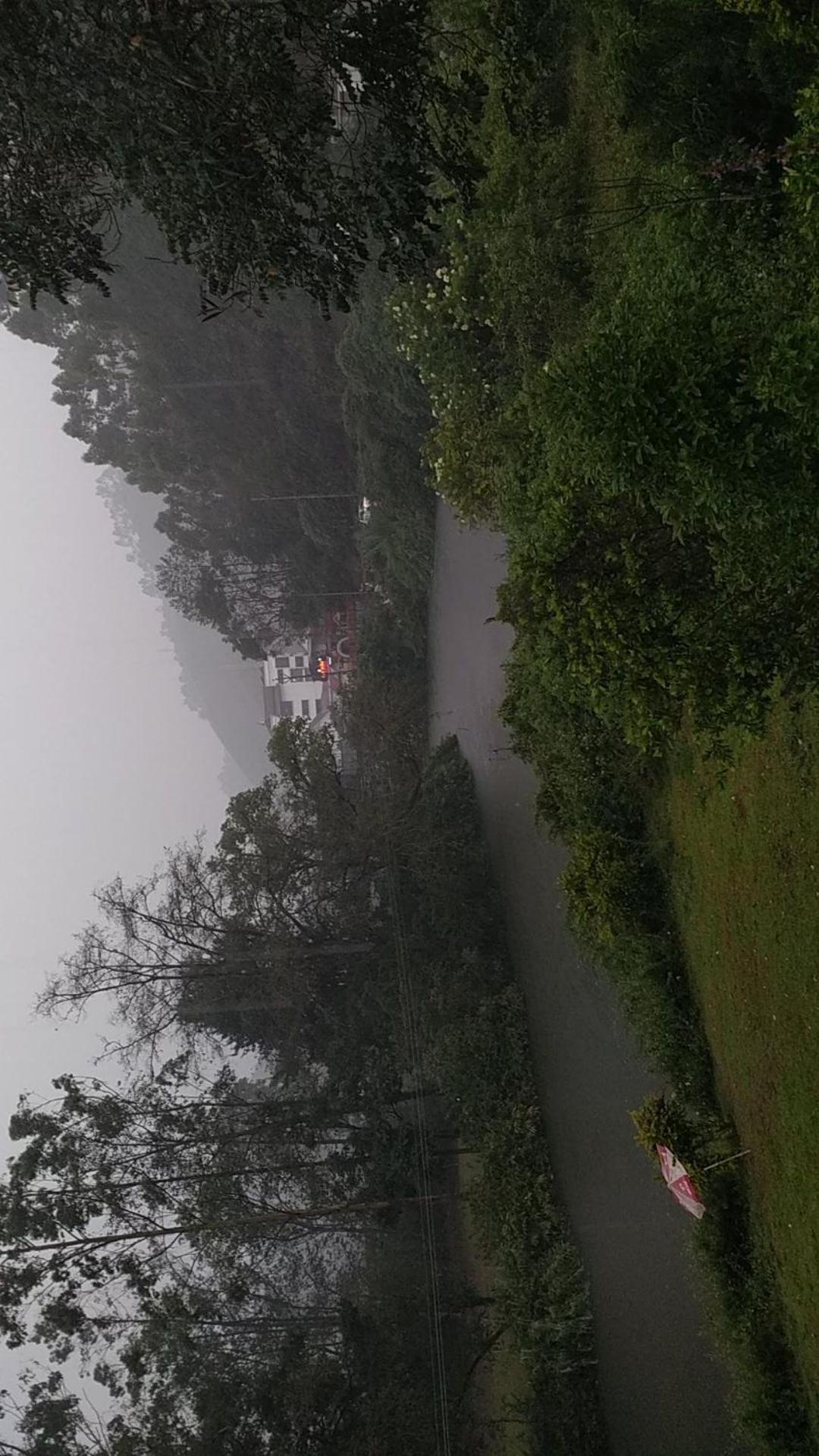 Sisiram River Side Munnar Eksteriør bilde